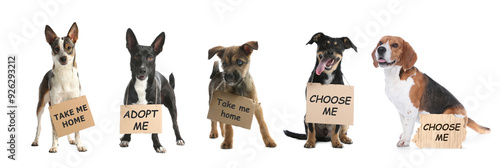 Sticker Cute dogs with signs on white background. Pet adoption