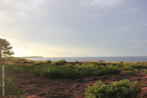 Abendstimmung an der Oststee photo