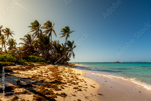 Strand und Meer in Karibik, Palmen, Dominikanische Republik während des Sonnenuntergangs. Punta Cana.
