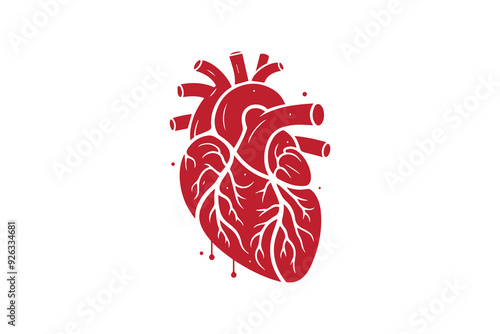 Human heart organ with aorta and arteries vector silhouette illustration 