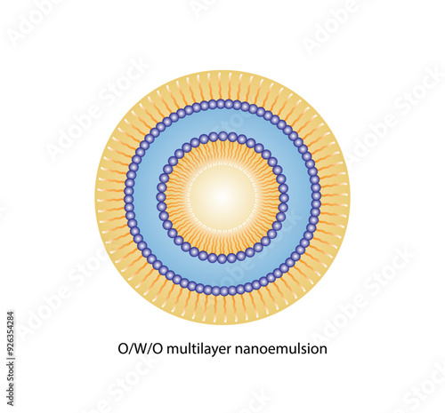 Multilayer nanoemulsion, a mixture of two immiscible liquids. Water and oil, Immiscible liquids, continuous phase, Dispersed phase. Emulsification, emulsifier. Vector illustration.