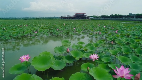 Serene Lotus Pond Lianchihtan in Kaohsiung, Taiwan - Popular Tourist Destination Editorial Shot on June 9, 2018 photo