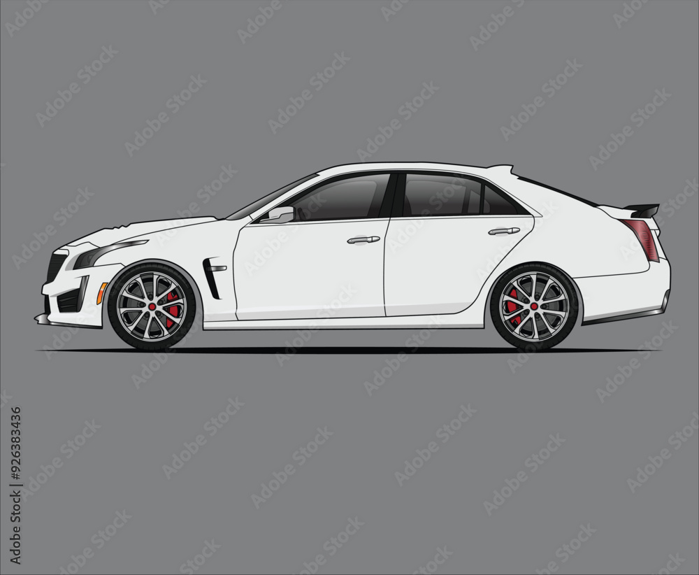 Fototapeta premium CTS