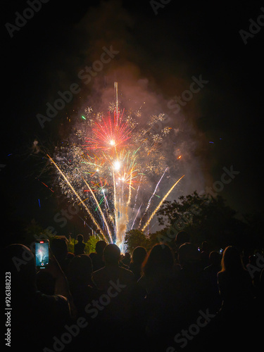 Fireworks. 
Group of people watching the fireworks.
French National Day in Soissons