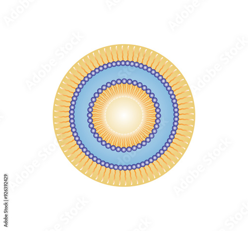 Multilayer nanoemulsion, a mixture of two immiscible liquids. Water and oil, Immiscible liquids, continuous phase, Dispersed phase. Emulsification, emulsifier. Vector illustration.