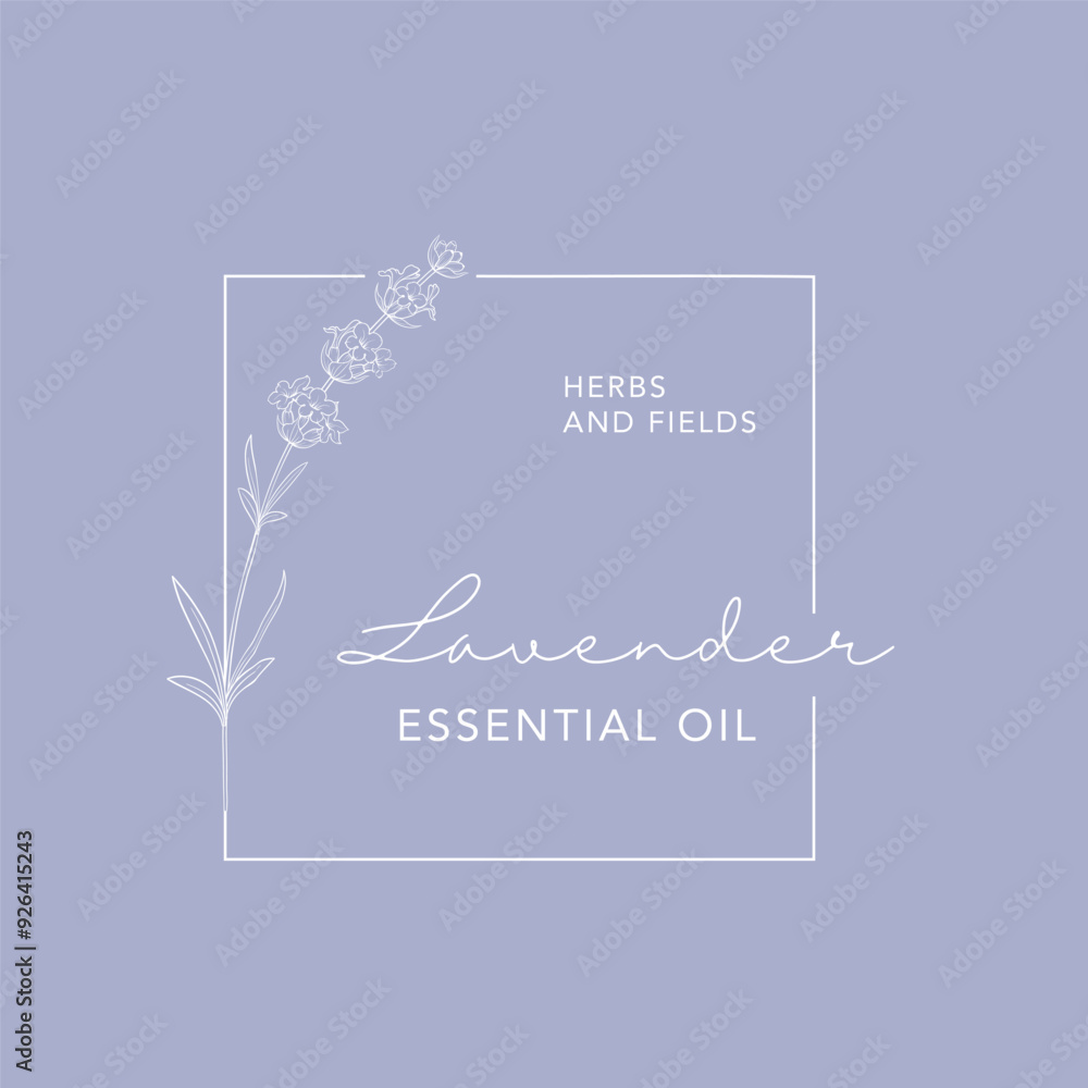 Lavender flower vector logo. Floral design label Lavender flower vector logo. Floral design label