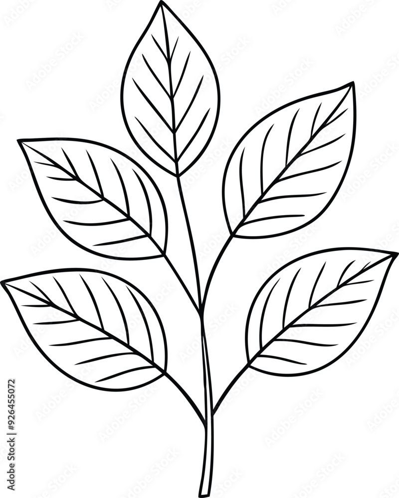 leaves line art illustration black and white leaves line art illustration black and white