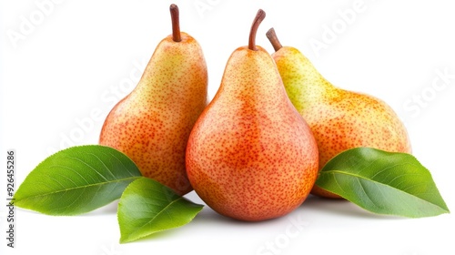 Ripe pears with leaf isolated on white background. Pear fruit full depth of field photo