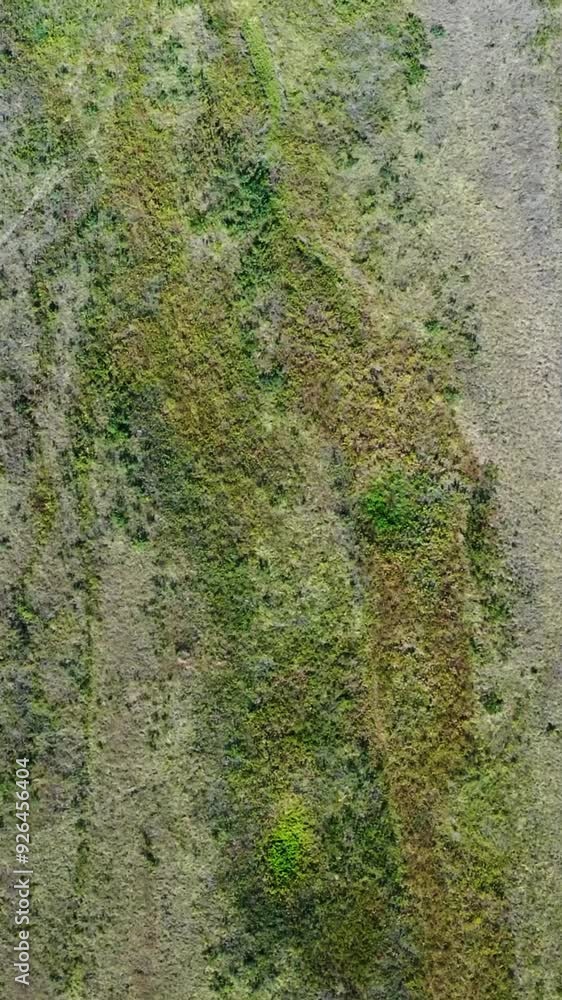 Aerial view of rural area during summer Aerial view of rural area during summer