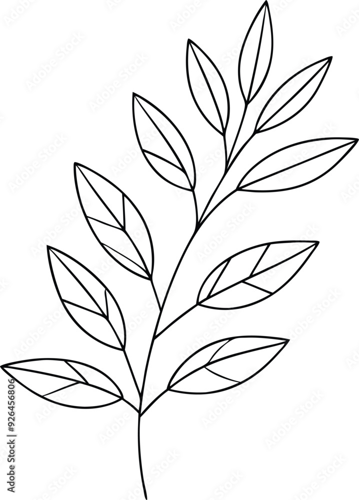 leaves line art illustration black and white leaves line art illustration black and white
