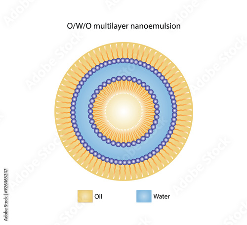 Multilayer nanoemulsion, a mixture of two immiscible liquids. Water and oil, Immiscible liquids, continuous phase, Dispersed phase. Emulsification, emulsifier. Vector illustration.