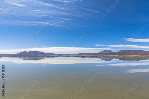 Reserva Nacional de Salinas y Aguada Blanca. Ubicada en el departamento de Arequipa, Peru.