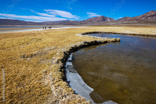 Reserva Nacional de Salinas y Aguada Blanca. Ubicada en el departamento de Arequipa, Peru.