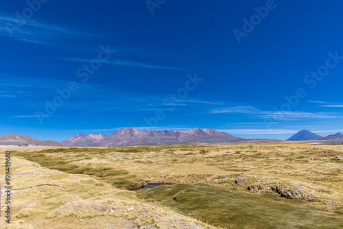 Reserva Nacional de Salinas y Aguada Blanca. Ubicada en el departamento de Arequipa, Peru.