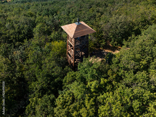 Jokai lookoout tower is on Next to Balatonfured city. Amazing view from here onto the almost full lake Balaton. Hungarian name is Jokai kilato photo