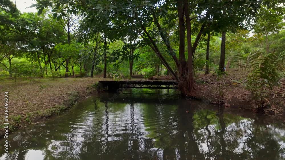 Marsh and lush greenery at Suan Rot Fai, Suan Rot Fai is one of the most popular parks in Bangkok. Marsh and lush greenery at Suan Rot Fai, Suan Rot Fai is one of the most popular parks in Bangkok.