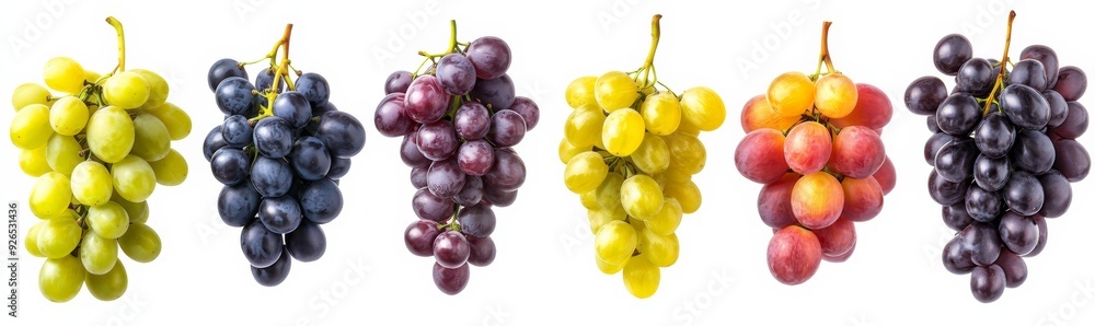 Variety of Grapes on White Background Variety of Grapes on White Background