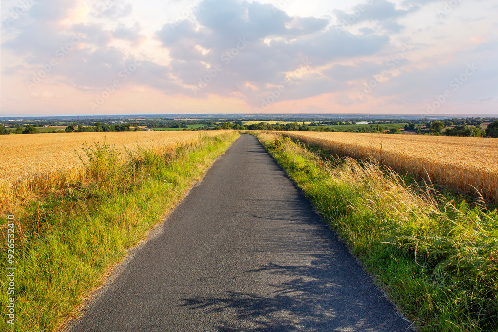 Fototapeta premium Route de campagne au milieu des champs au printemps.
