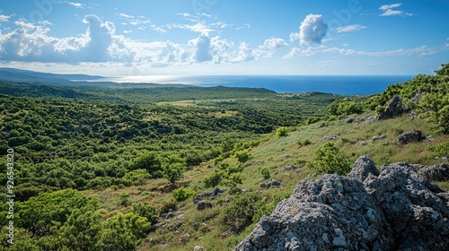 Looking southwest from Filerimos Hill, with a mix of natural greenery, rocky terrain, and the distant ocean visible. photo