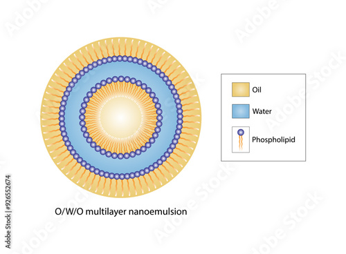Multilayer nanoemulsion, a mixture of two immiscible liquids. Water and oil, Immiscible liquids, continuous phase, Dispersed phase. Emulsification, emulsifier. Vector illustration.