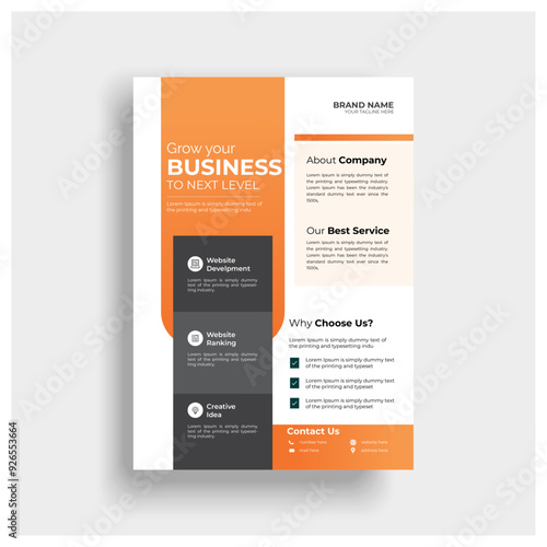 Standard Flyer Design