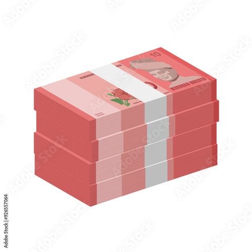 Malaysia currency, Malaysia Ringgit bundle of banknotes paper money stack cash denomination of RM10 simple vector illustration
