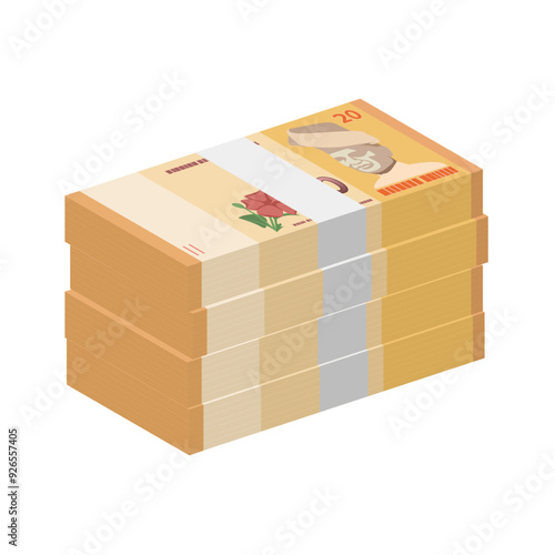 Malaysia currency, Malaysia Ringgit bundle of banknotes paper money stack cash denomination of RM20 simple vector illustration photo