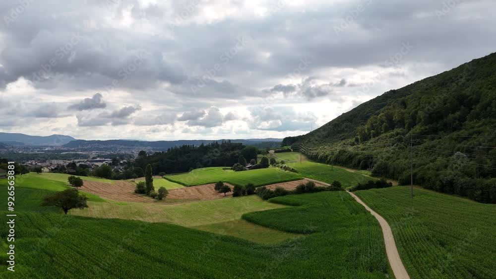 Luftaufnahme einer Wiese mit Sicht auf Dulliken Luftaufnahme einer Wiese mit Sicht auf Dulliken