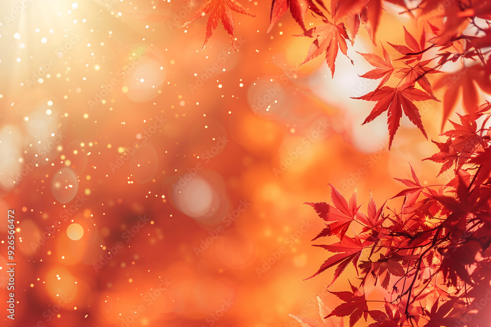 Beautiful autumn leaves with rim light. Nature landscape, background and wallpaper. Copy space Beautiful autumn leaves with rim light. Nature landscape, background and wallpaper. Copy space