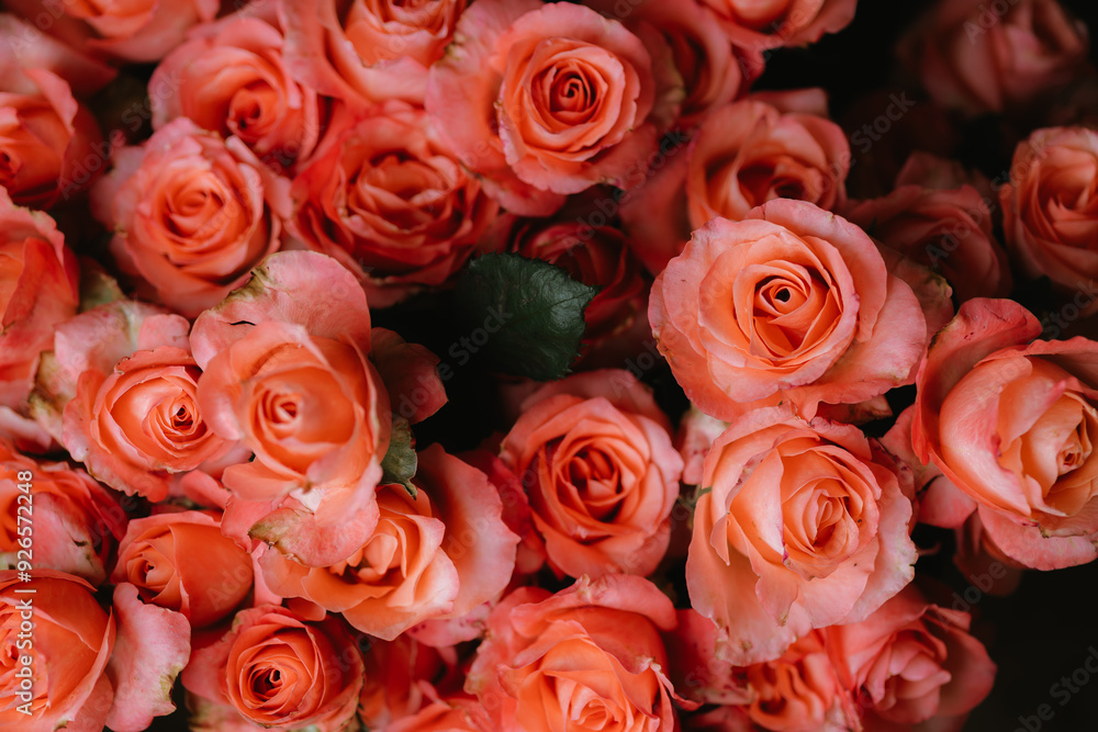 A vibrant bouquet of fresh roses, bursting with color and delicate petals, perfect for celebrating love, anniversaries, or special occasions, capturing nature's beauty and fragility. A vibrant bouquet of fresh roses, bursting with color and delicate petals, perfect for celebrating love, anniversaries, or special occasions, capturing nature's beauty and fragility.