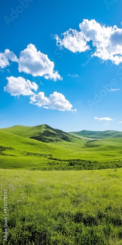 A beautiful, open field with a clear blue sky and fluffy clouds. The sky is dotted with clouds, and the sun is shining brightly. The field is lush and green, with a few trees scattered throughout