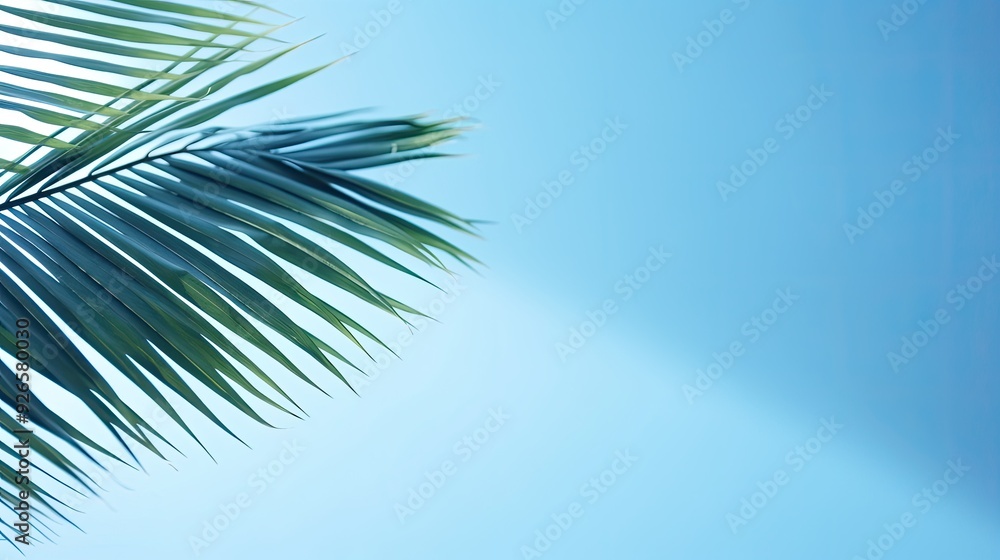 A close-up of a palm leaf against a soft blue background. A close-up of a palm leaf against a soft blue background.