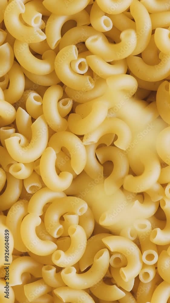 Close up uncooked macaroni pasta. Close up uncooked macaroni pasta.