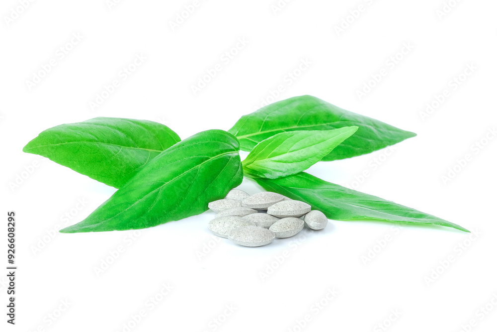 Kariyat leaves with capsule on white background.