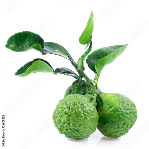 Kaffir lime close up on white background.
