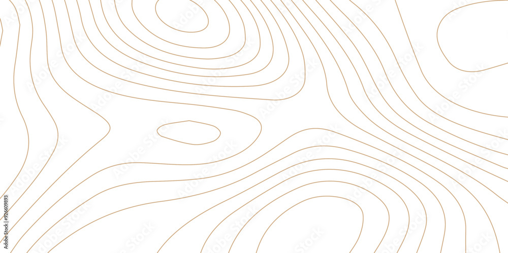Abstract wave paper curved reliefs background .gradient multicolor wave curve lines banner background design .topographic contours map background .Vector geographic contour map. Abstract wave paper curved reliefs background .gradient multicolor wave curve lines banner background design .topographic contours map background .Vector geographic contour map.