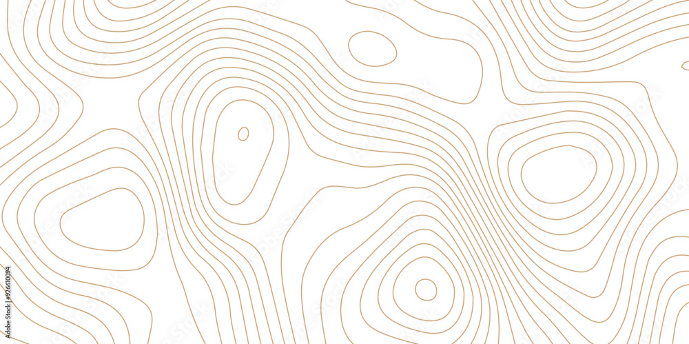 Abstract wave paper curved reliefs background .gradient multicolor wave curve lines banner background design .topographic contours map background .Vector geographic contour map. Abstract wave paper curved reliefs background .gradient multicolor wave curve lines banner background design .topographic contours map background .Vector geographic contour map.