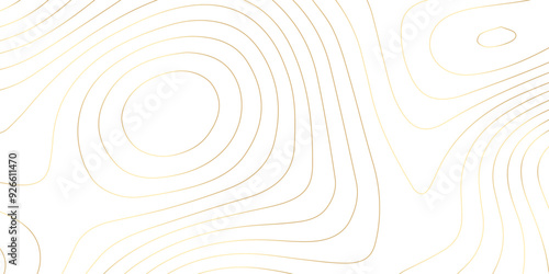 Abstract wave paper curved reliefs background .gradient multicolor wave curve lines banner background design .topographic contours map background .Vector geographic contour map.	