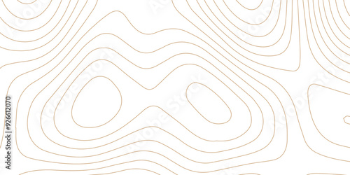 Abstract wave paper curved reliefs background .gradient multicolor wave curve lines banner background design .topographic contours map background .Vector geographic contour map.	