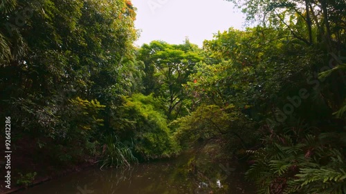  Marsh and lush greenery at Suan Rot Fai,  Suan Rot Fai is one of the most popular parks in Bangkok. photo