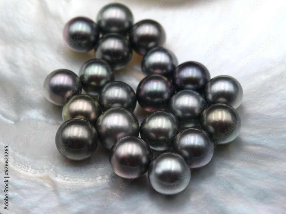 Expensive and luxurious Tahiti black pearls in a white shell on black background, ready to be made into earrings, pendants or necklaces and sold in jewelry store. Expensive and luxurious Tahiti black pearls in a white shell on black background, ready to be made into earrings, pendants or necklaces and sold in jewelry store.