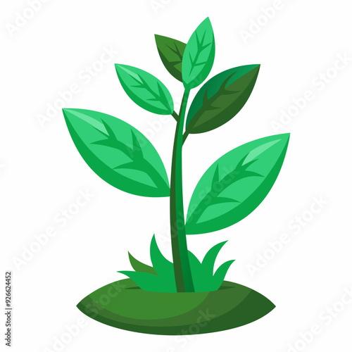 tree, vector, data structure, root, node, leaf, binary tree, depth, height, traversal, pre-order, in-order, post-