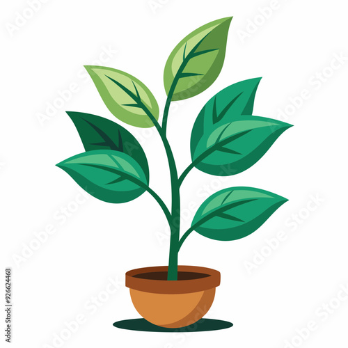 tree, vector, data structure, root, node, leaf, binary tree, depth, height, traversal, pre-order, in-order, post-