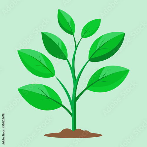 tree, vector, data structure, root, node, leaf, binary tree, depth, height, traversal, pre-order, in-order, post-