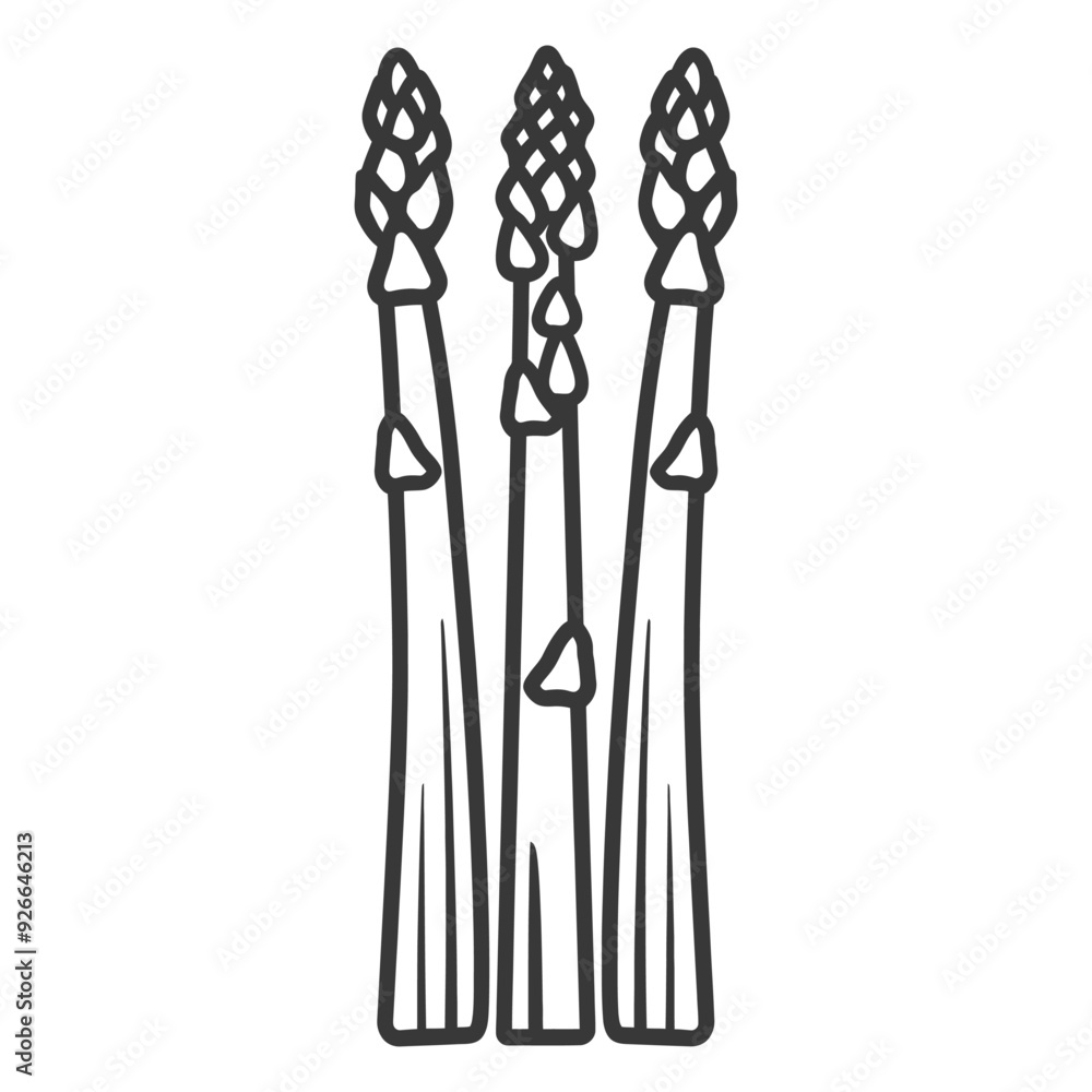 Three Asparagus Spears with Tops in Line Art Style Three Asparagus Spears with Tops in Line Art Style