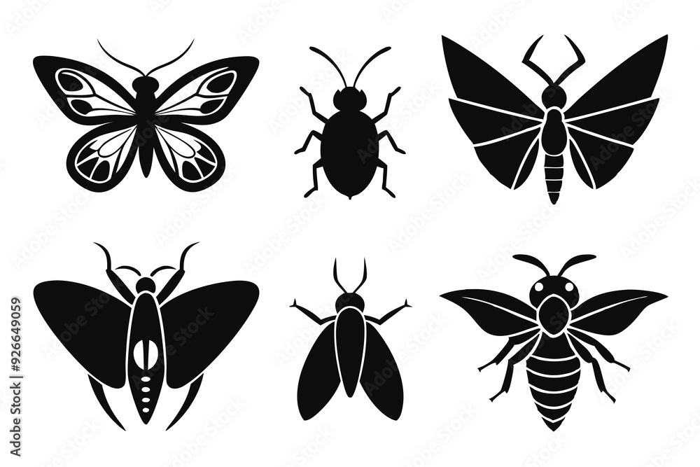 collection of butterflies