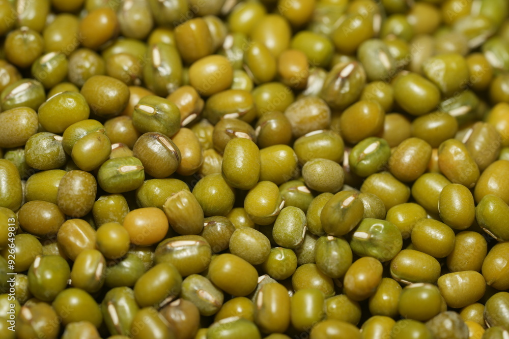 Mung beans (Vigna radiata) are small, green legumes widely cultivated for their high nutritional value and versatility in cooking. Native to Asia|綠豆 Mung beans (Vigna radiata) are small, green legumes widely cultivated for their high nutritional value and versatility in cooking. Native to Asia|綠豆