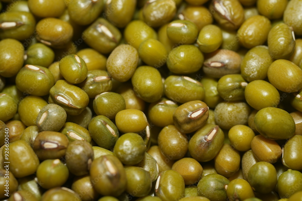 Mung beans (Vigna radiata) are small, green legumes widely cultivated for their high nutritional value and versatility in cooking. Native to Asia|綠豆 Mung beans (Vigna radiata) are small, green legumes widely cultivated for their high nutritional value and versatility in cooking. Native to Asia|綠豆