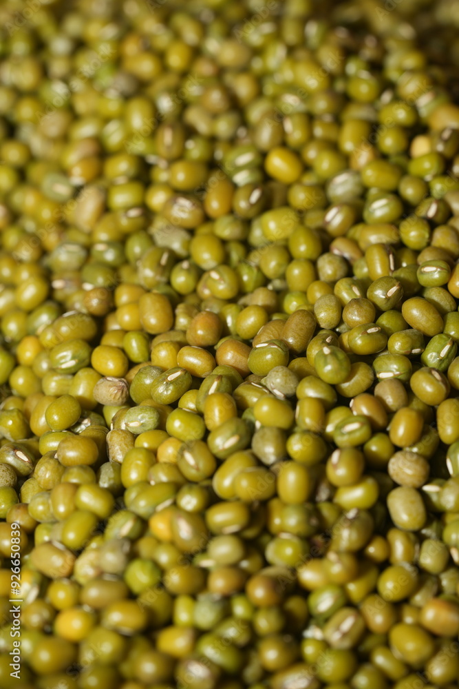 Mung beans (Vigna radiata) are small, green legumes widely cultivated for their high nutritional value and versatility in cooking. Native to Asia|綠豆 Mung beans (Vigna radiata) are small, green legumes widely cultivated for their high nutritional value and versatility in cooking. Native to Asia|綠豆