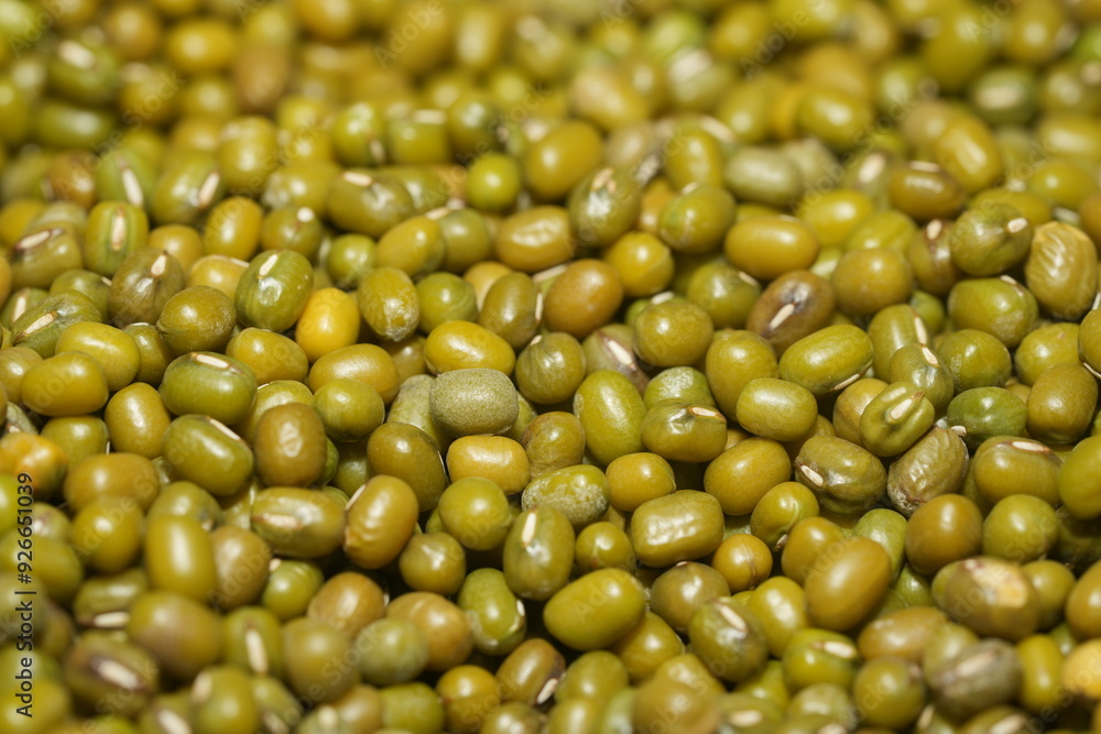 Mung beans (Vigna radiata) are small, green legumes widely cultivated for their high nutritional value and versatility in cooking. Native to Asia Mung beans (Vigna radiata) are small, green legumes widely cultivated for their high nutritional value and versatility in cooking. Native to Asia
